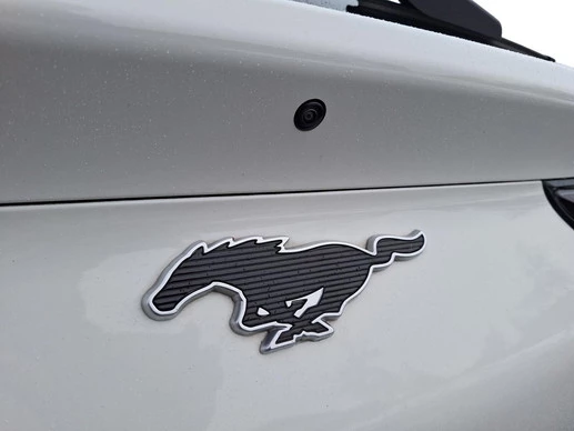 Ford Mustang Mach-E - Afbeelding 11 van 30