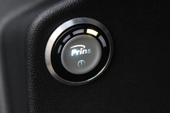 Citroën C4 Cactus - Afbeelding 28 van 30