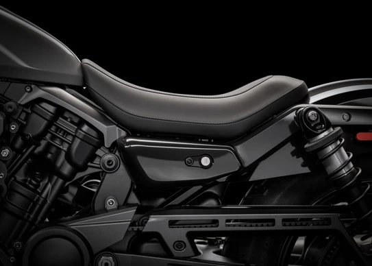 Harley-Davidson Nightster - Afbeelding 2 van 19