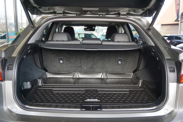 Lexus RX - Afbeelding 5 van 30