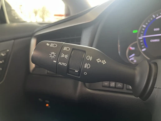 Lexus RX - Afbeelding 17 van 30