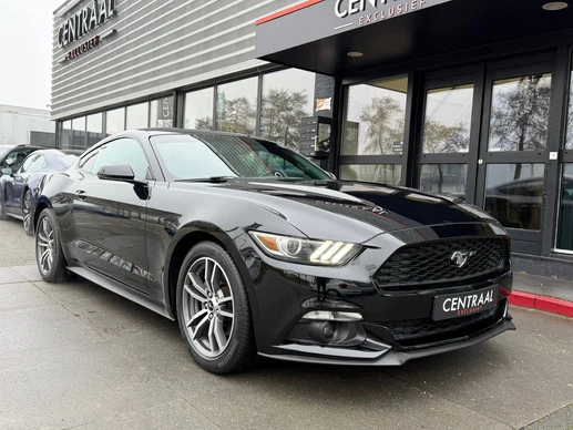 Ford Mustang - Afbeelding 25 van 29