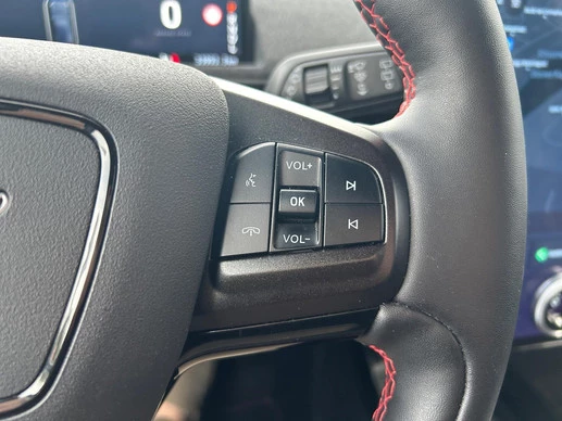 Ford Mustang Mach-E - Afbeelding 18 van 29