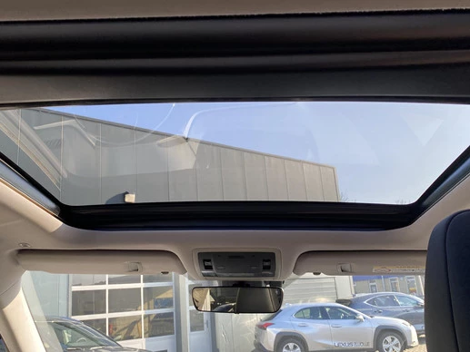 Lexus RX - Afbeelding 30 van 30