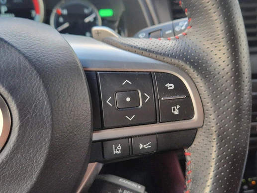 Lexus RX - Afbeelding 16 van 30