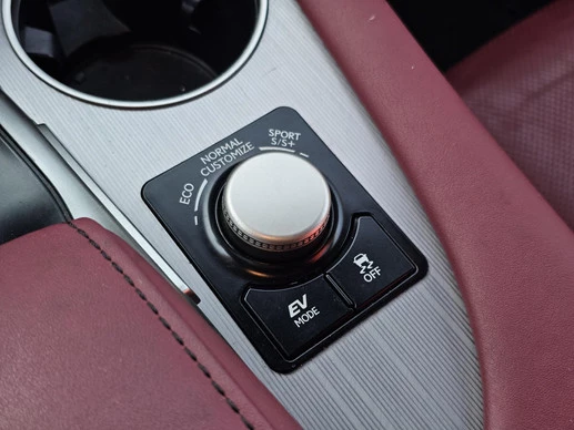 Lexus RX - Afbeelding 30 van 30