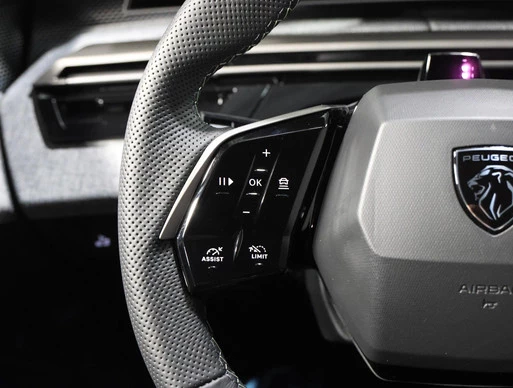 Peugeot e-3008 - Afbeelding 26 van 30