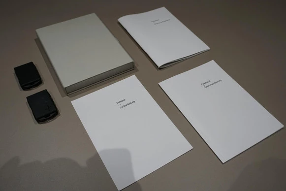 Polestar 2 - Afbeelding 14 van 30