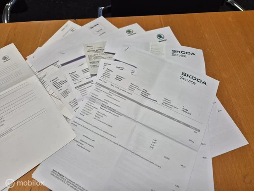 Škoda Rapid - Afbeelding 21 van 30