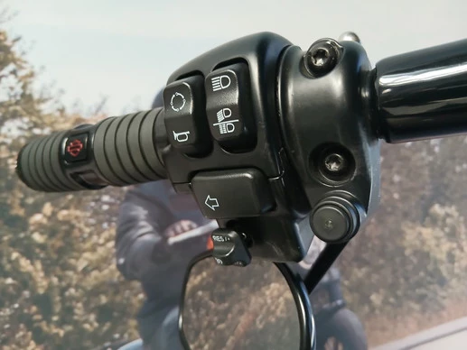 Harley-Davidson Low Rider - Afbeelding 8 van 18