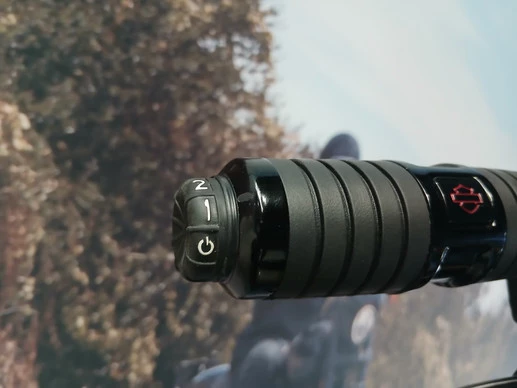 Harley-Davidson Low Rider - Afbeelding 13 van 18