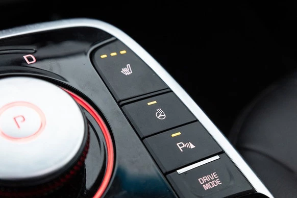 Kia e-Niro - Afbeelding 18 van 30