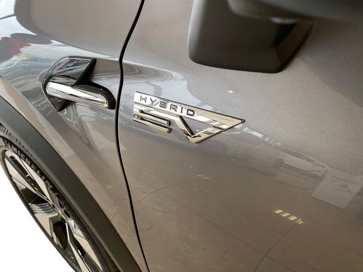 Mitsubishi Grandis - Afbeelding 24 van 26