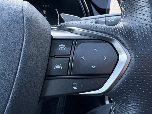 Lexus RX - Afbeelding 16 van 30