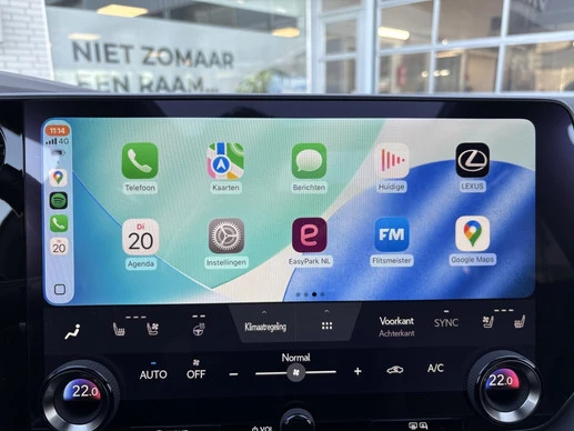 Lexus RX - Afbeelding 22 van 30