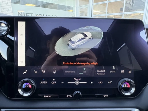 Lexus RX - Afbeelding 23 van 30