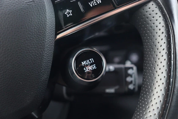 Renault Austral - Afbeelding 19 van 30