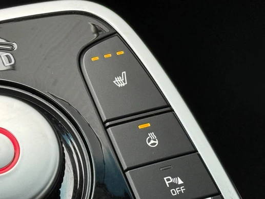 Kia Niro EV - Afbeelding 24 van 30