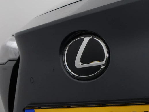 Lexus RZ - Afbeelding 27 van 30