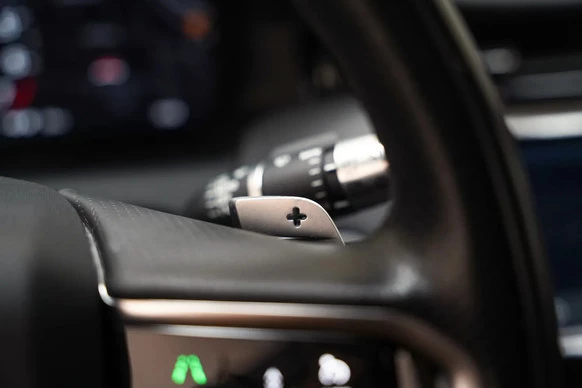 Land Rover Discovery Sport - Afbeelding 20 van 30