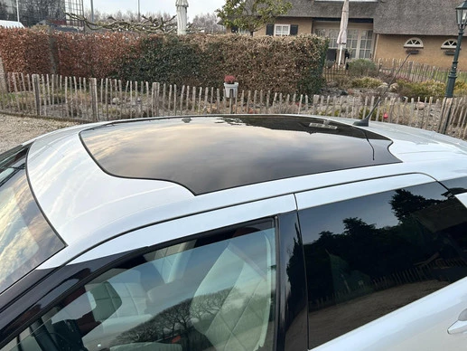 Citroën C4 Cactus - Afbeelding 18 van 30