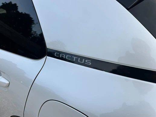 Citroën C4 Cactus - Afbeelding 23 van 30