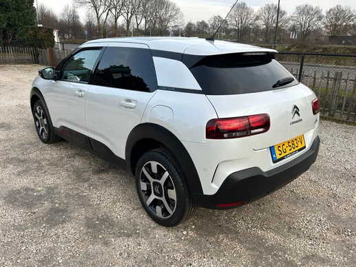 Citroën C4 Cactus - Afbeelding 25 van 30