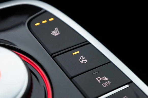 Kia e-Niro - Afbeelding 16 van 30