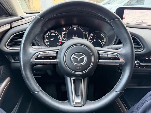 Mazda CX-30 - Afbeelding 14 van 23