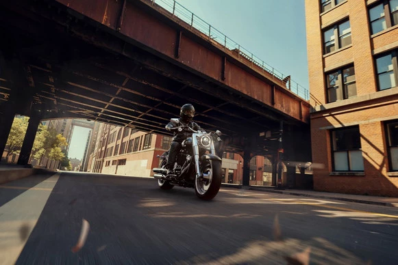 Harley-Davidson Fat Boy - Afbeelding 7 van 10