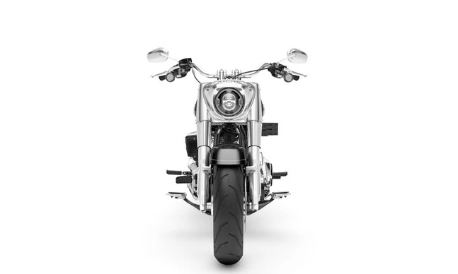 Harley-Davidson Fat Boy - Afbeelding 3 van 10