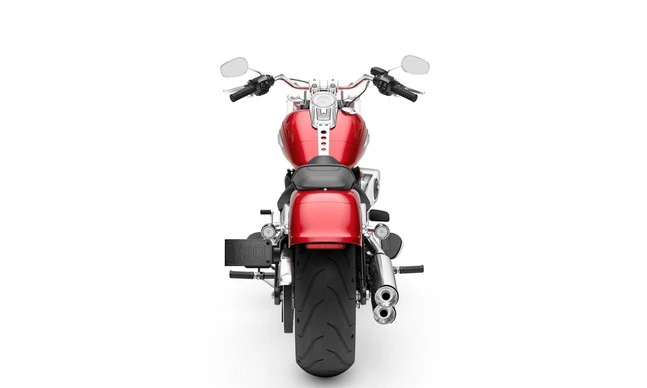 Harley-Davidson Fat Boy - Afbeelding 4 van 10