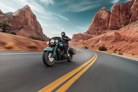 Harley-Davidson Heritage - Afbeelding 7 van 10