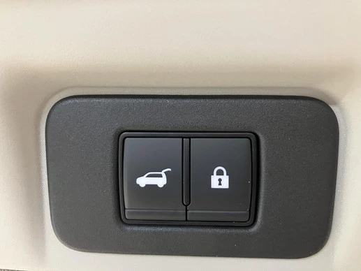 Nissan ARIYA - Afbeelding 30 van 30