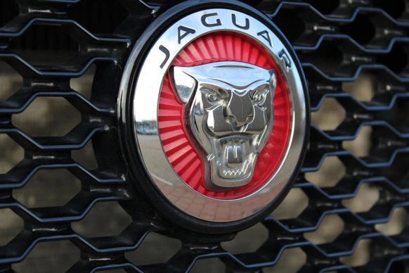 Jaguar F-PACE - Afbeelding 25 van 30