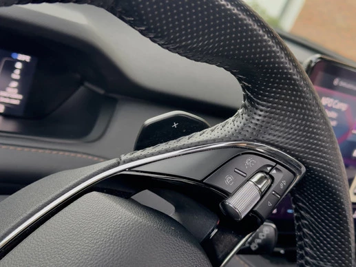 Škoda Enyaq iV - Afbeelding 30 van 30