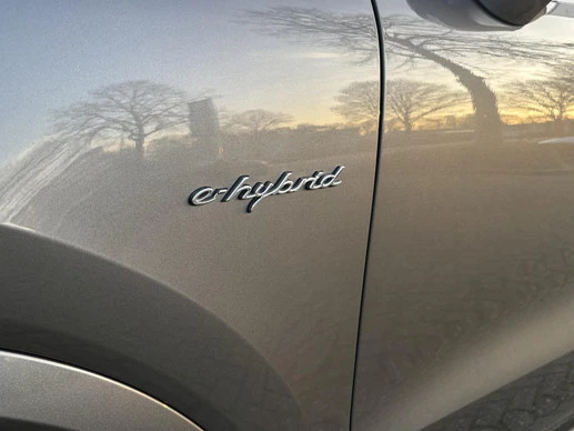 Porsche Cayenne - Afbeelding 20 van 30