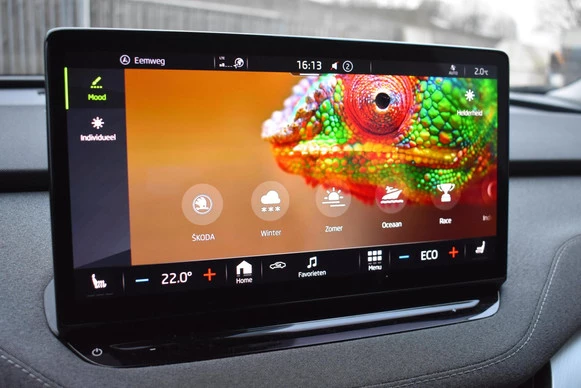 Škoda Enyaq iV - Afbeelding 17 van 25