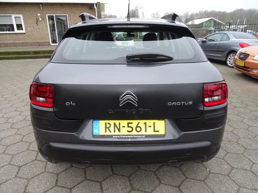 Citroën C4 Cactus - Afbeelding 6 van 19