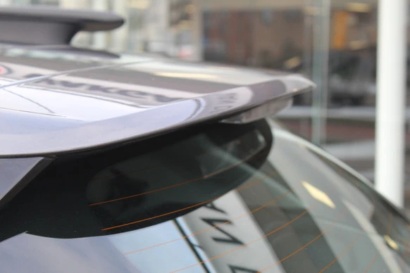 Citroën C4 Cactus - Afbeelding 29 van 30