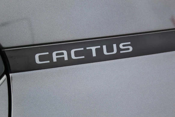Citroën C4 Cactus - Afbeelding 30 van 30
