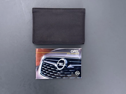 Opel Ampera-e - Afbeelding 26 van 30