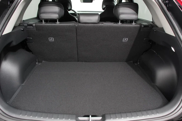 Kia Niro EV - Afbeelding 24 van 30