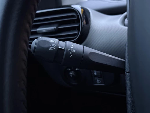 Citroën C4 Cactus - Afbeelding 23 van 30