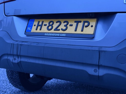 Citroën C4 Cactus - Afbeelding 30 van 30