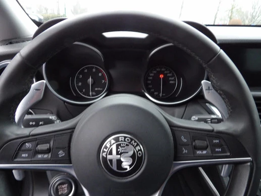 Alfa Romeo Stelvio - Afbeelding 15 van 16