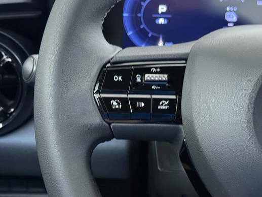 Alfa Romeo Junior - Afbeelding 26 van 30