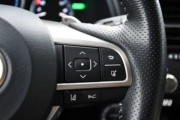 Lexus RX - Afbeelding 25 van 30