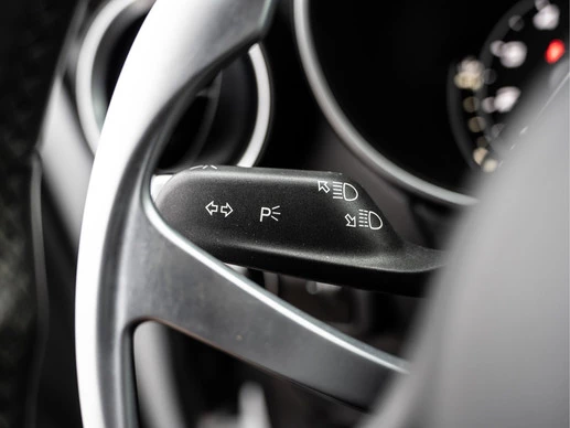 Alfa Romeo Stelvio - Afbeelding 29 van 30