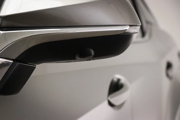 Lexus RX - Afbeelding 23 van 30